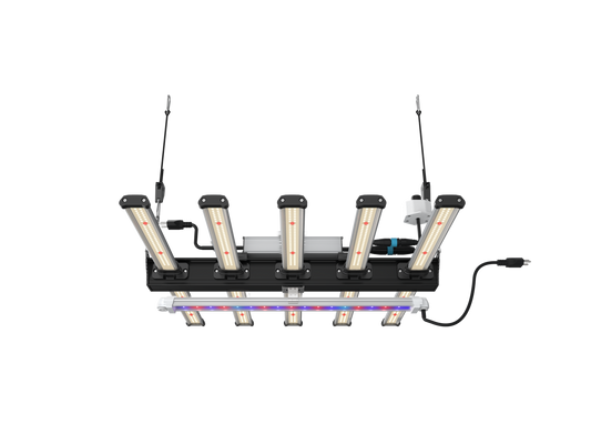 CLIP BOOST für BLACK SERIES 320/400/600 - Bavarian Cannaseur