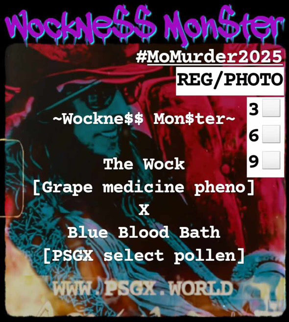 Wockne$$ Mon$ter Regular Seeds 5er Pack - Bavarian Cannaseur