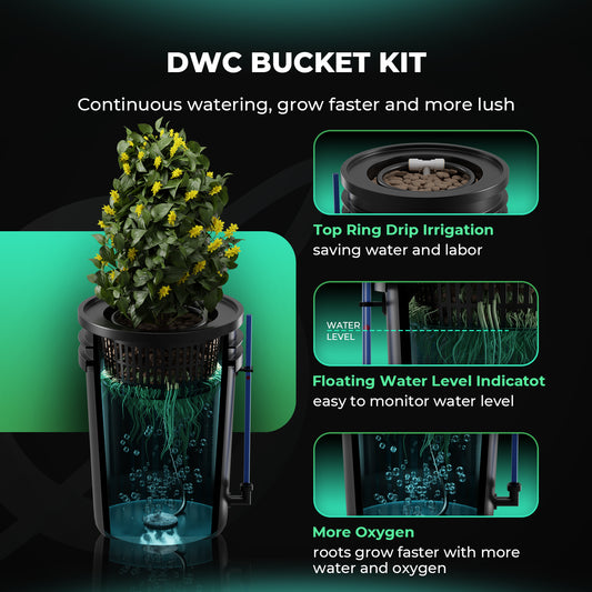 💧 Premium Mars Hydro 5-Gallon DWC Hydroponic System Kit - Bavarian Cannaseur