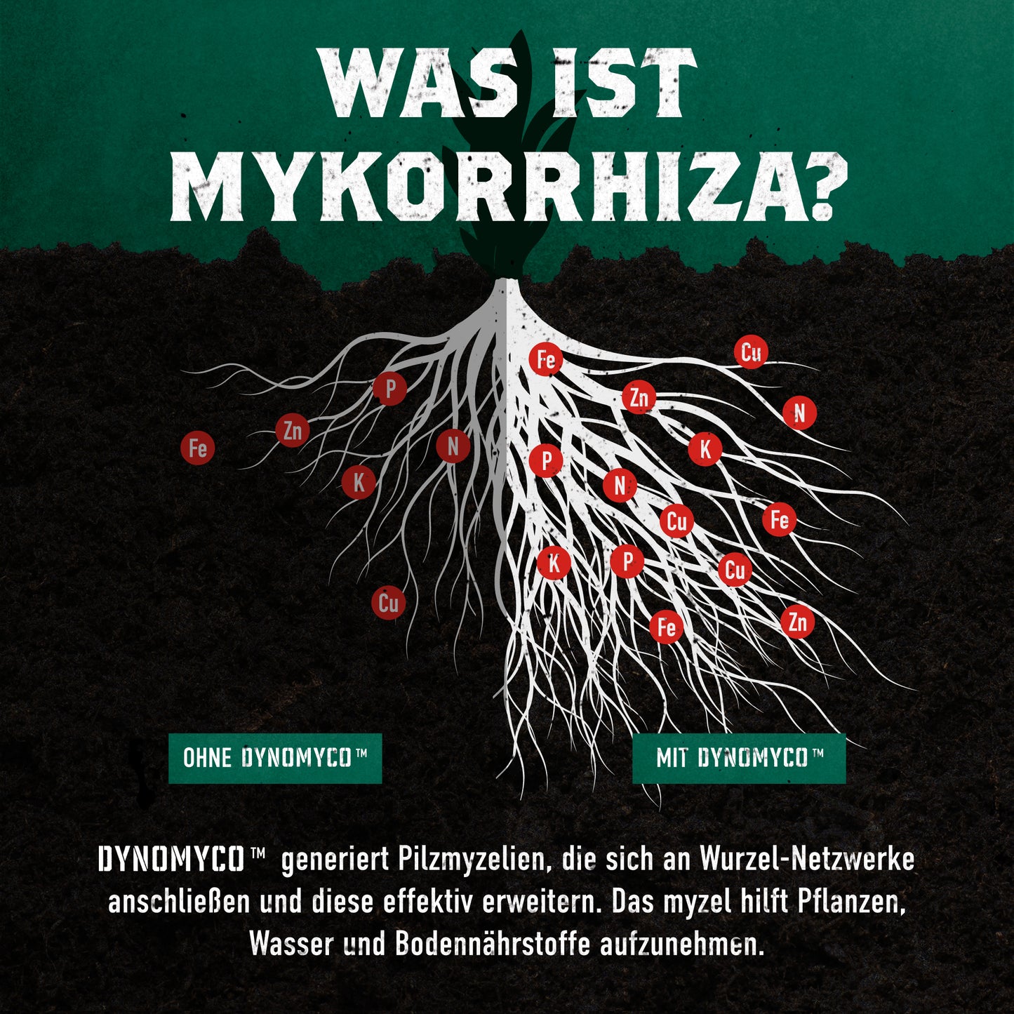 DynoMyco Mini-Pouch 100 g - Bavarian Cannaseur