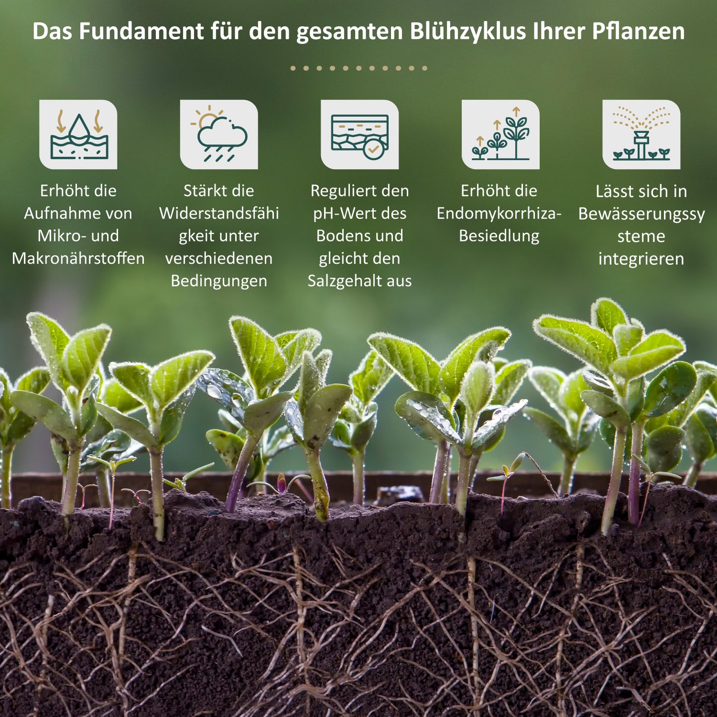 DynoMyco Mini-Pouch 100 g - Bavarian Cannaseur