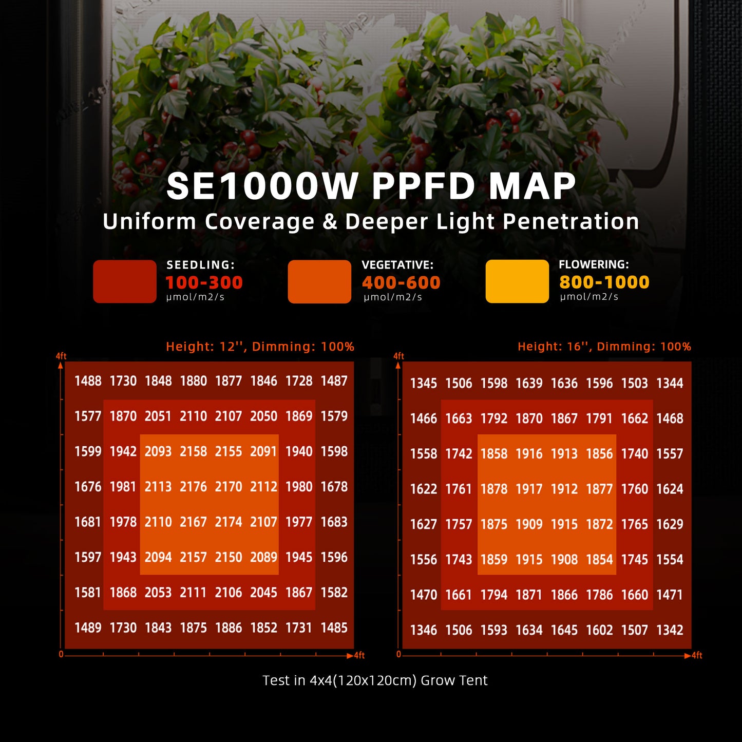 Spider Farmer SE-Serie LED Grow Light