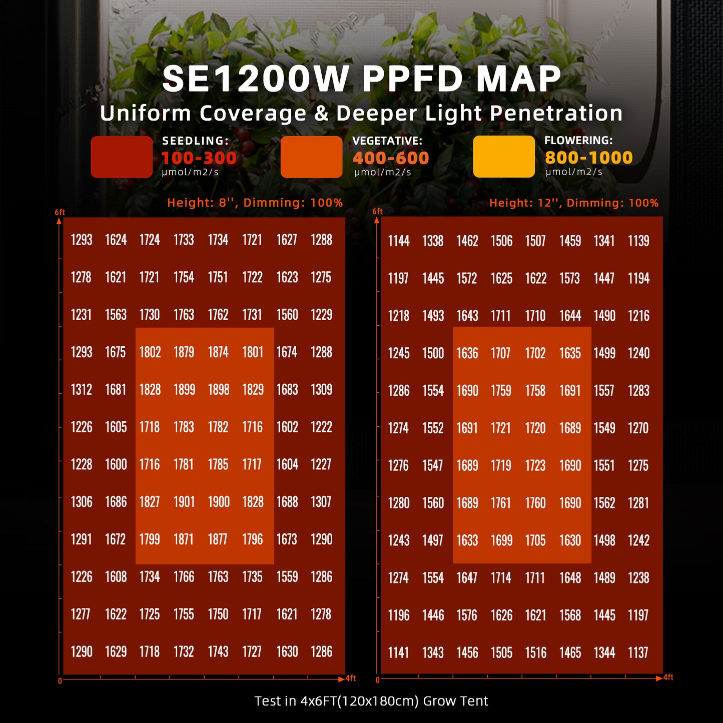 Spider Farmer SE-Serie LED Grow Light