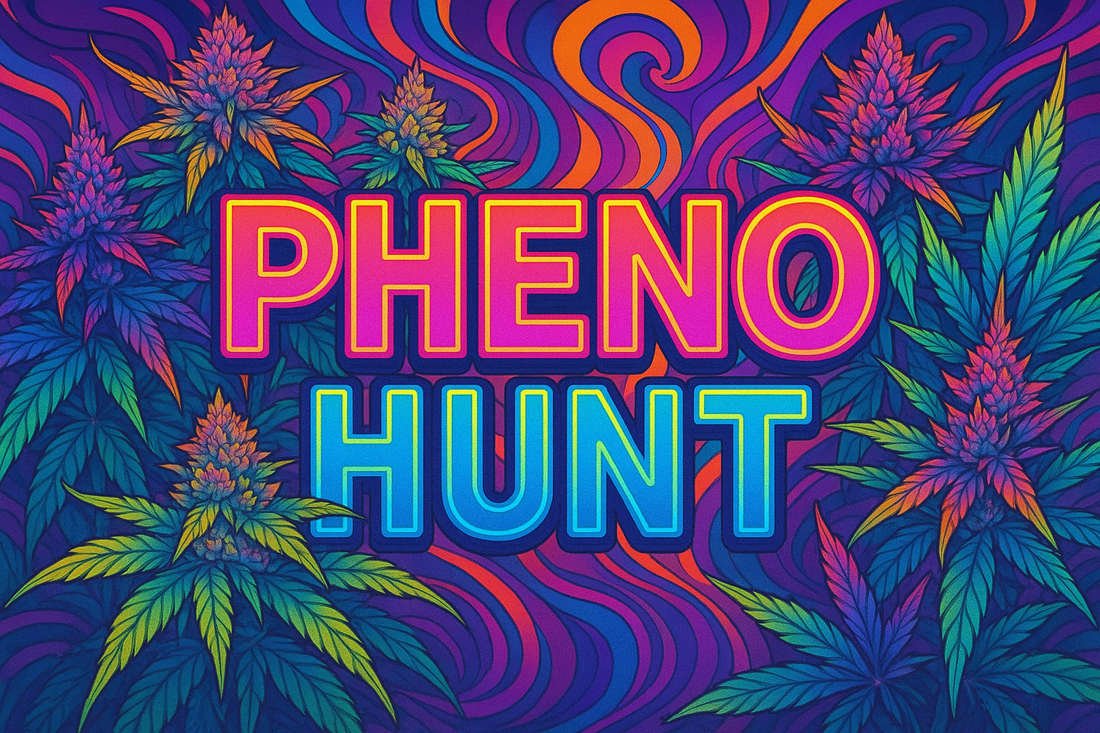 Facebook Gruppe Pheno Hunt