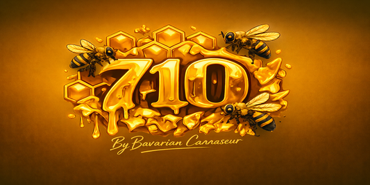 Neue T-Shirt Kollektion 710 (Drop dieses Wochenende)