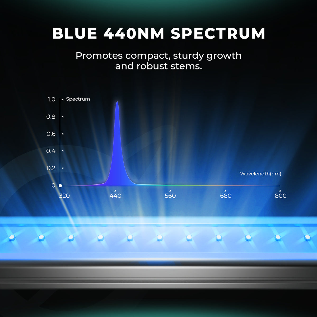 🚀 Mars Hydro ADLITE‑RB30 - Bavarian Cannaseur