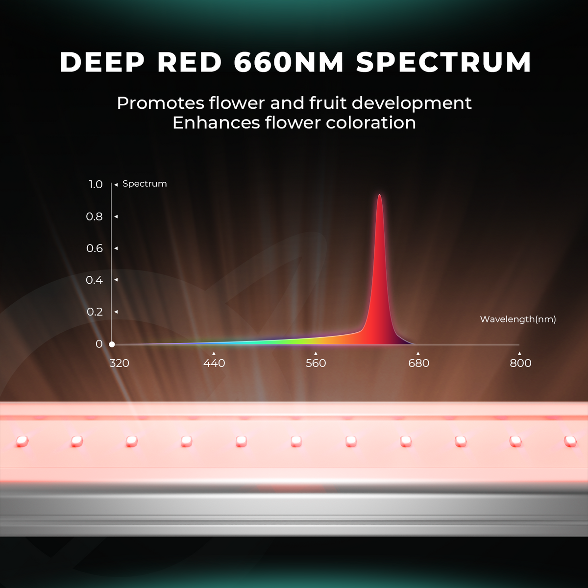 🚀 Mars Hydro ADLITE‑RB30 - Bavarian Cannaseur