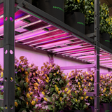🚀 Mars Hydro ADLITE‑RB30 - Bavarian Cannaseur