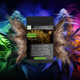 EASY AUTOFLOWERING CANNABIS BOOSTER COMPLETE MIX SATIVA - Bavarian Cannaseur