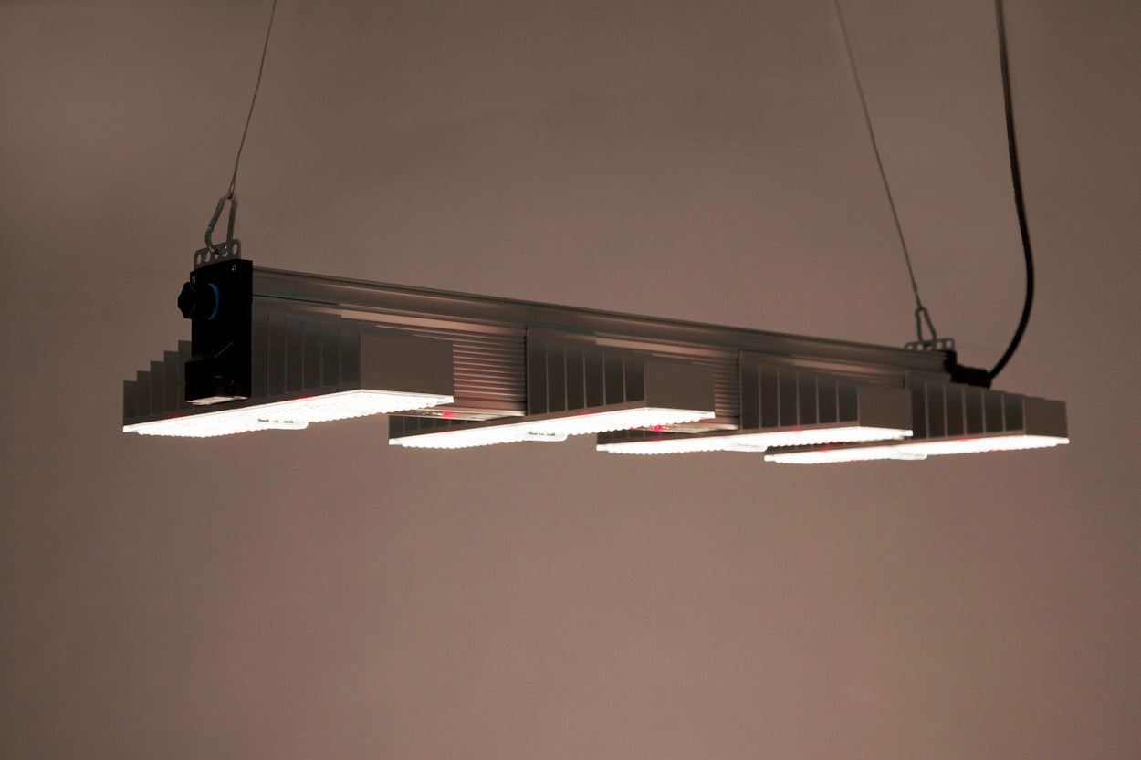 SANlight EVO 4 Serie