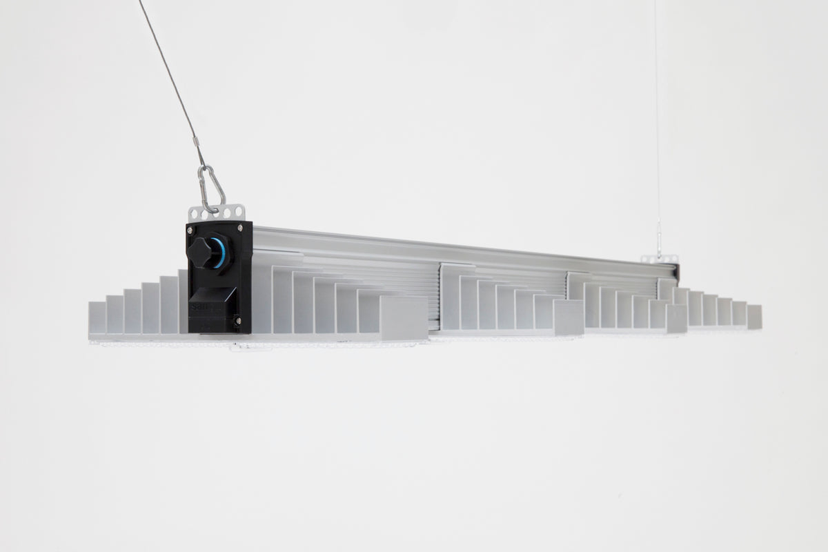 SANlight EVO 4 Serie - Bavarian Cannaseur