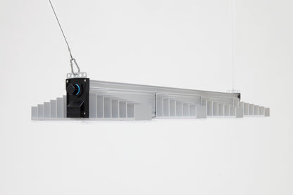 SANlight EVO 4 Serie