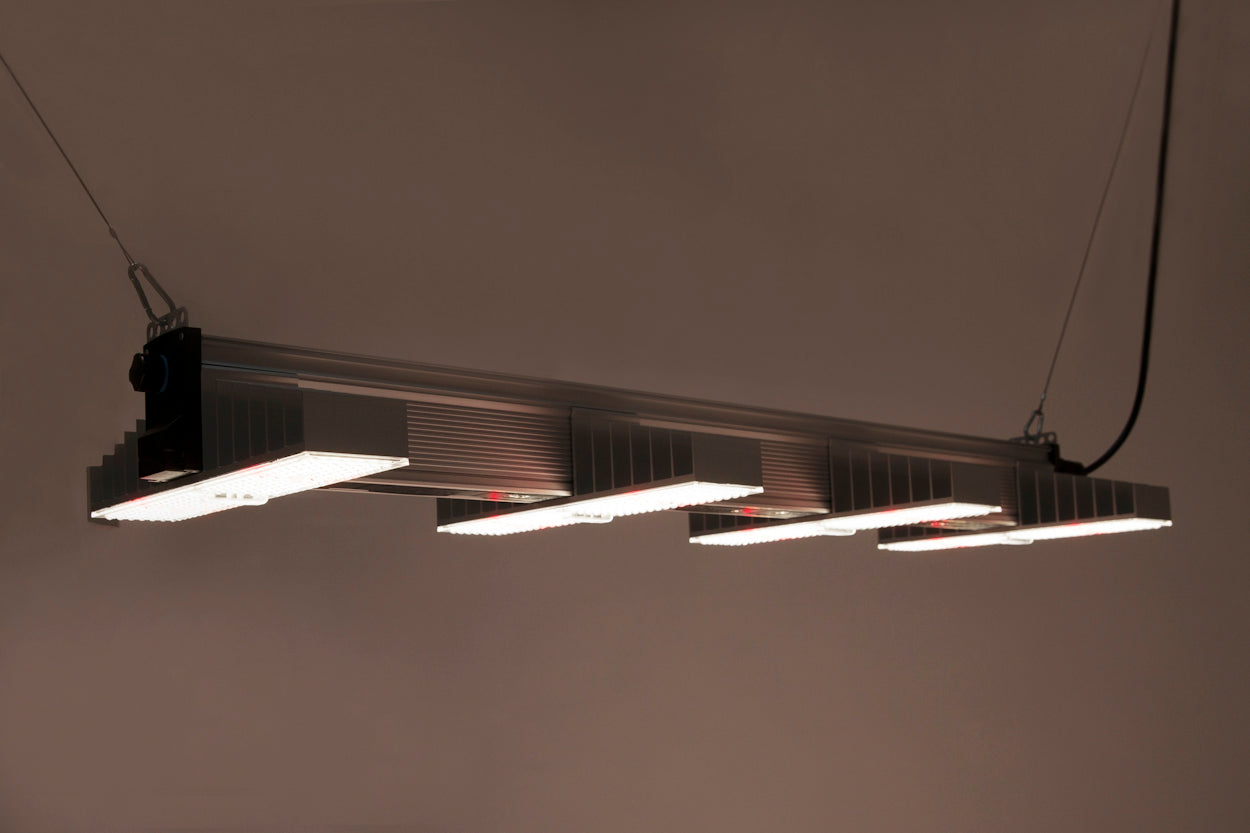 SANlight EVO 4 Serie