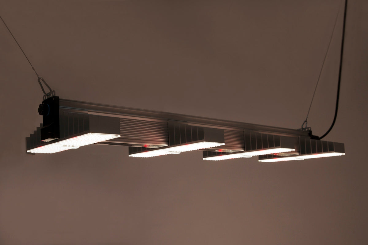 SANlight EVO 4 Serie - Bavarian Cannaseur