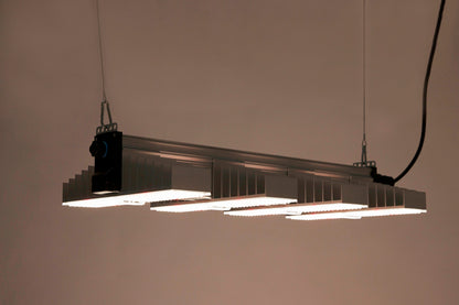 SANlight EVO 4 Serie