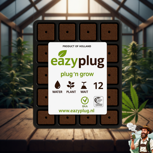 Eazyplug CT12 - Bavarian Cannaseur