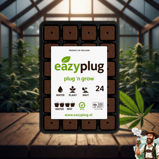 Eazyplug CT24 - Bavarian Cannaseur