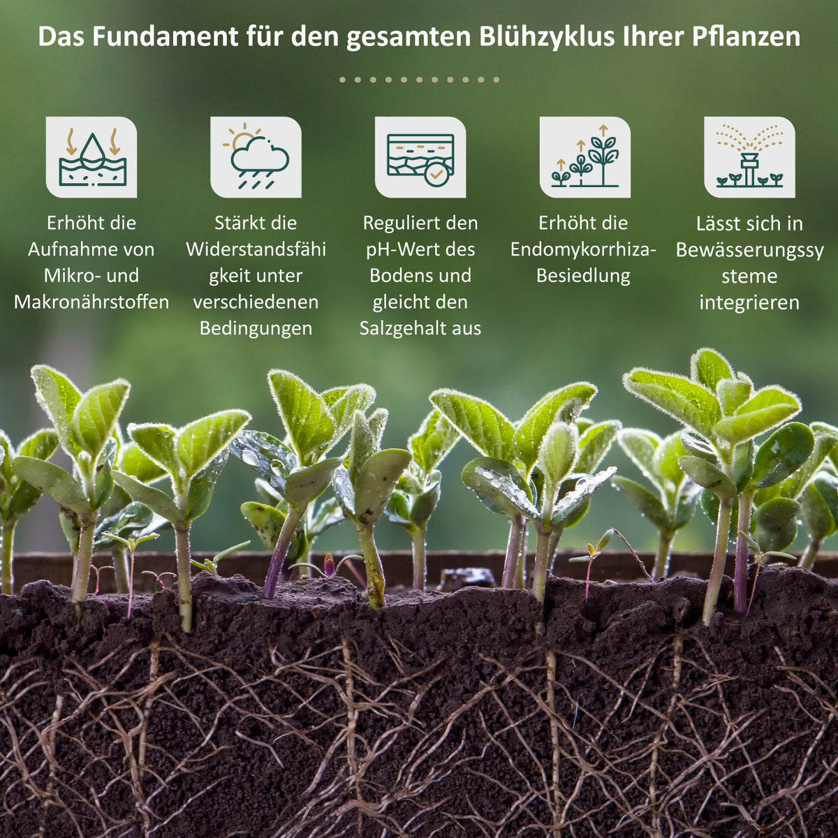 DynoMyco Mini-Pouch 100 g - Bavarian Cannaseur