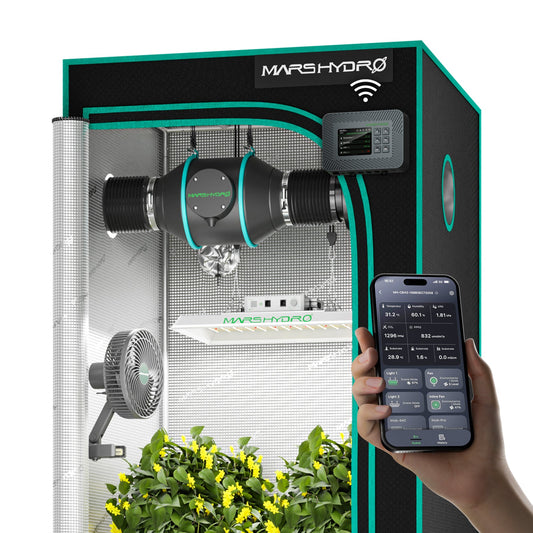 Mars Hydro TS-1000-SET-CP Grow-Set mit TS1000 LED, Growzelt und iControl