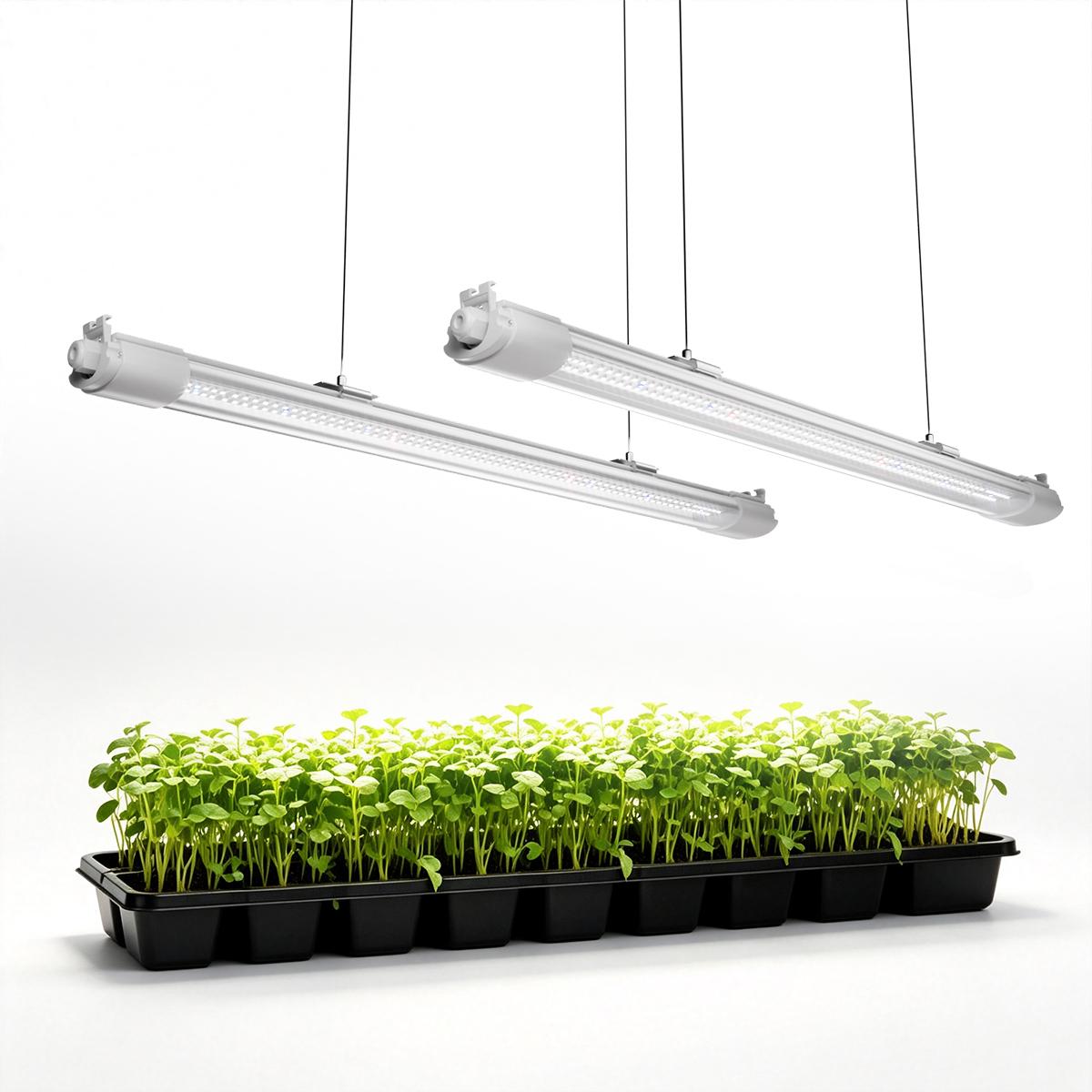 Mars Hydro VG40