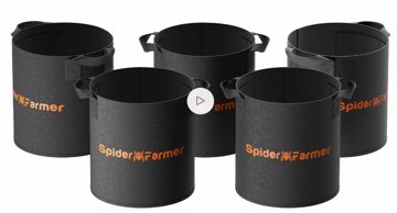 Spider Farmer SF-GROWBAG11