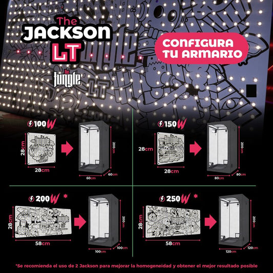 The Jungle LED – The Jackson LT